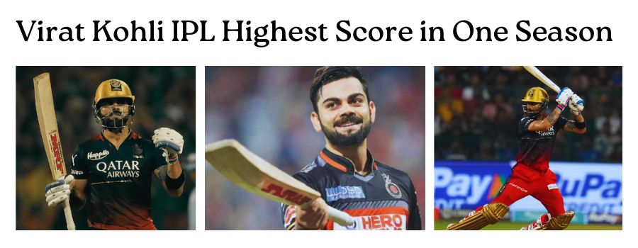 Virat Kohli IPL Highest Score in One Season - Jhanper Cricket